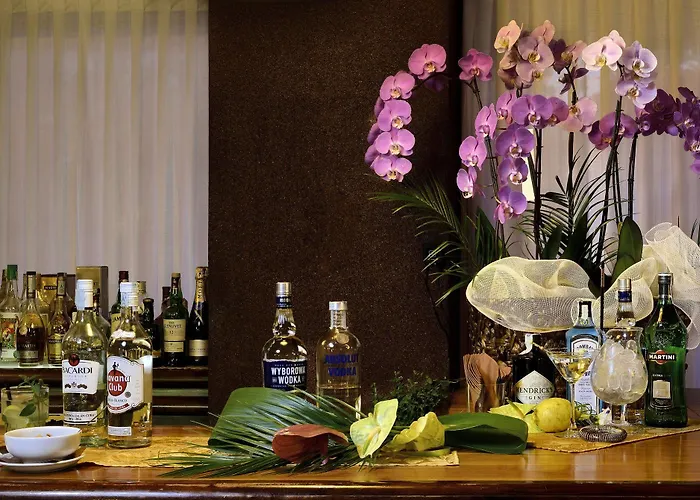 酒店 Grand Elite 4*